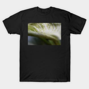 Curled Foliage leaf T-Shirt